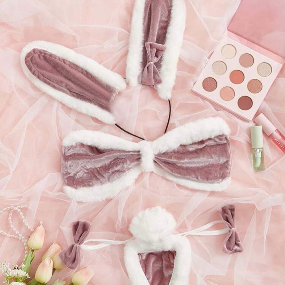 SHEIN Brand New Pink and White Bunny Lingerie Set Bedroom Costume (S)